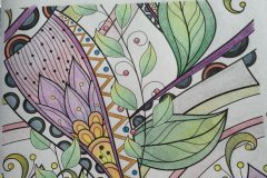 Derwent Artist Flowers