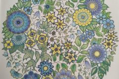 Secret Garden Page 4