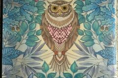 Secret Garden Page 5