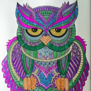 Colored Owl