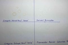 How to color bubbles step 1 Create 4 different sample circles as bubble outlines